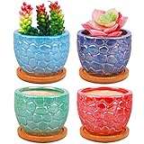 ROSE CREATE 3.5 Inches Ceramic Succulent Planters, Colorful Bonsai Pots for Window Desk Home Decor with Bamboo Trays