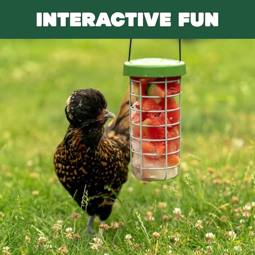 Image of Omlet Caddi Chicken Treat Holder | Attaches Easily to Any Chicken Run | Durable and Practical | Fresh and Healthy Chicken Feeder | Interactive Fun for Your Chickens