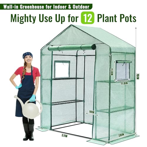 Greengro Greenhouse, 28 x 57 x 76'' Greenhouses for Outdoors, Small Plant Green House with Screen Windows, 3 Tiers 4 Shelves, Durable PE Cover, Plastic Portable Walk in Greenhouses for Outside Indoor - Image 7