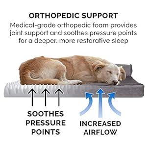 Furhaven Orthopedic Dog Bed for Large Dogs w/ Removable Bolsters & Washable Cover, For Dogs Up to 95 lbs - Plush & Velvet L Shaped Chaise - Platinum Gray, Jumbo/XL Furhaven Orthopedic Dog Bed for Large Dogs w Removable Bolsters Washable Cover For Dogs Up to 95 lbs Plush Velvet L Shaped Chaise Platinum Gray JumboXL