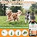 Oral Flea and Tick Support for Dogs and Cats, Natural Dog Flea and Tick Defense, Cat Flea Drops Supplements with Vitamin for Pets - All Breeds and Ages - Bacon