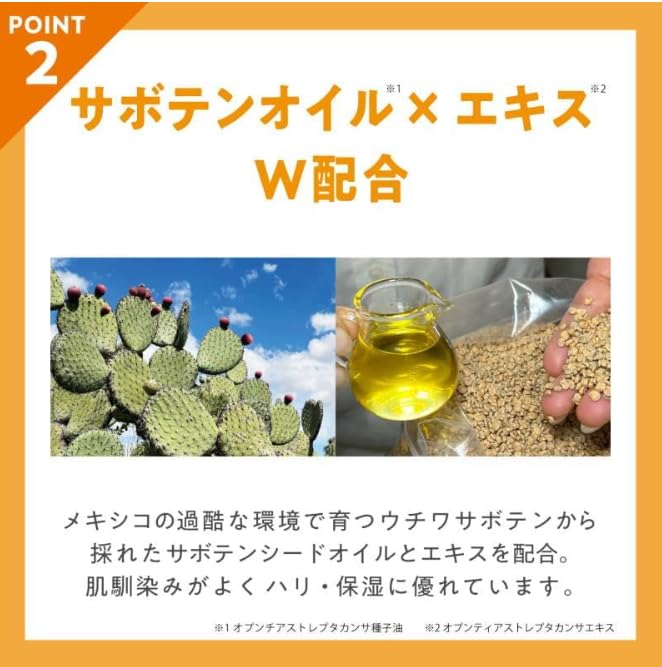 Amazon | 【セット商品】ノパ nopa プレストパウダー 40g 洗い替え用