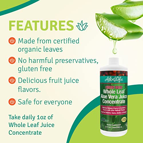 Aloe Life - Whole Leaf Aloe Vera Juice Concentrate, Soothing Relief For Indigestion, Antioxidant Catalyst, Supports Energy & Wellness, Organic Aloe Leaves, Gluten-Free (Cherry Berry, 32 Oz) | 2-Pack #TOP4