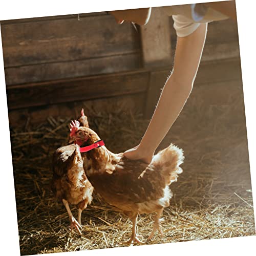 Kisangel 8stücke Hahnenhalsbänder Strapazierfähigem Verstellbare Reduzierung Krähen Für Gänse Und Enten Helles Design Für Einfache Auffindbarkeit