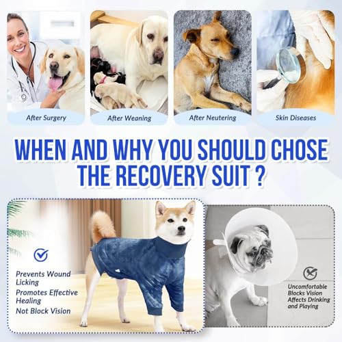 Image of KUTKUT Full Coverage Small Dog Recovery Suit Post Surgery - Full Body Surgical Onsie for Male & Female Dogs, Anti-Lick Wound Healing Shirt (Size:S, Blue)