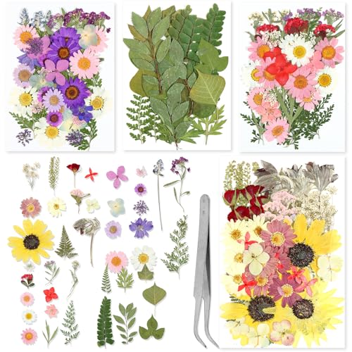 Juego de 152 flores secas prensadas para manualidades miniatura 4