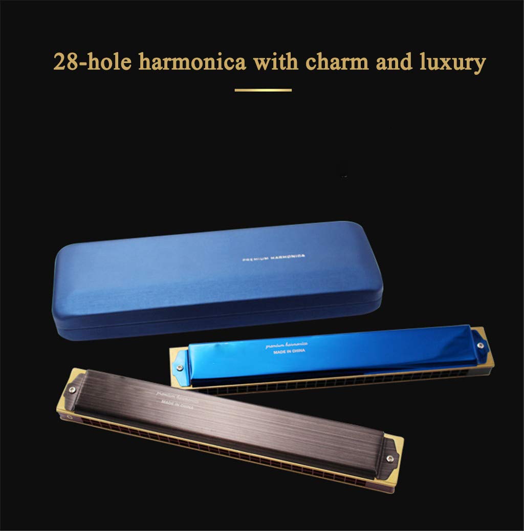 Harmonica C Key Tremolo Diatonic Harmonica con Custodia Rigida e Panno per Giocatori Professionisti, Principianti, Studenti, Adulti e Bambini