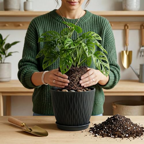 Image of Eightiz (Pack of 5 6 Inch Plastic Flower Pots for Indoor & Outdoor Terrace,Garden Plants Decorative Planters with Drainage Holes & Matching Saucers Durable & Lightweight (Black)