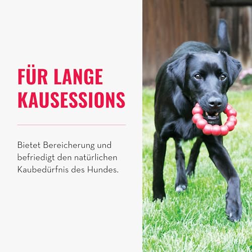 KONG Ring - Hundekauspielzeug - Unterstützt die Zahngesundheit - Langlebiger Naturkautschuk - Für XL Hunde