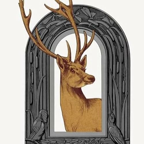 Vanishing Folklore and Belief cover art