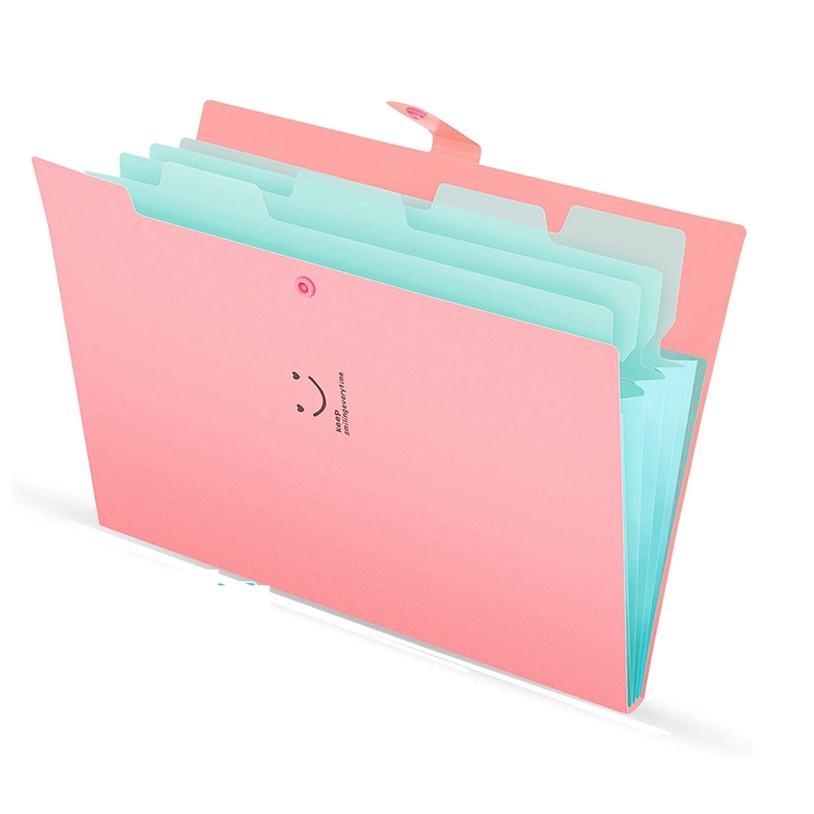 Buy IORAA 5 Pockets Expanding File Folder for Documents File Folder for