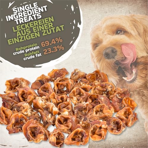 Schweineohren-Mitte Kausnacks für Hunde 1kg (ca. 26-30 Stück) | Natürlich & luftgetrocknet | Getreidefrei | Langanhaltender Kauspaß | Monoprotein Snack