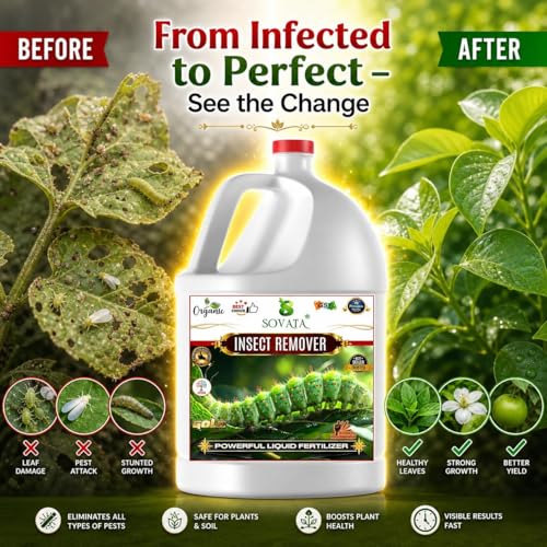 Image of All insects Remover, Essential Organic Powerful Liquid Insecticide for Removing all types of insects and pests from Plants and soil. (250 ml)