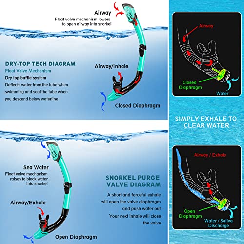 ZEEPORTE Diving Snorkels para explorar playas y disfrutar del mar este verano sin agua en la boca 4