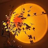 ambientebeleuchtung a klasse 【Stabil und langlebig】Das Abendlicht besteht aus einer Aluminiumlegierung. Aluminiumlegierung ist härter und stabiler als Kunststoff, selbst wenn sie versehentlich fallen gelassen wird, bricht sie nicht.