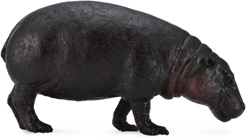 Pygmy Hippopotamus