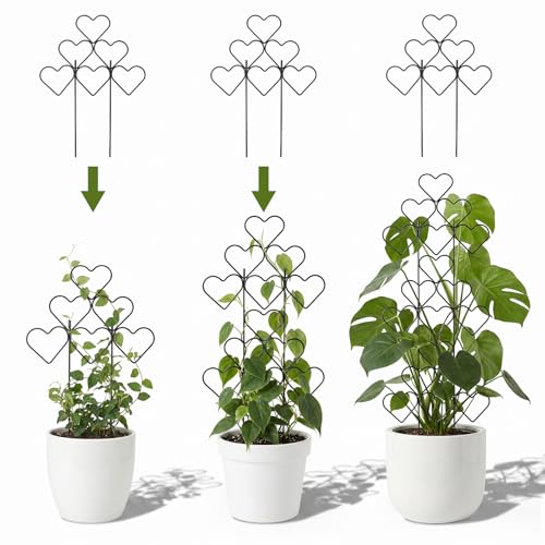 Image of ZOUTOG 12 Pack Trellis for Climbing Plants Outdoor 15 Inch,Rustproof Metal Garden Trellis for Potted Plants,Sturdy Houseplant Support Indoor Outdoor for Ivy Pothos Monstera Hoya Flower Vine