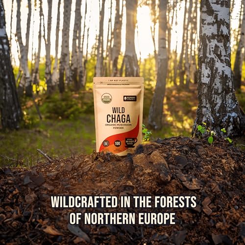 Numami Organic Chaga Mushrooms Powder