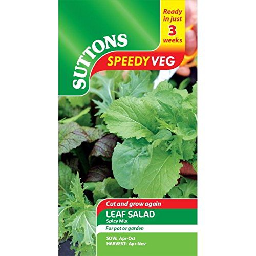 Suttons - Speedy Veg Seed - Leaf Salad Spicy Mix