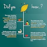 Vegavero L Citrulline Malate 2:1 | 10,000 mg Daily Dose | 100% Pure | NO Additives | Unflavoured | Lab-Tested | Vegan | 500 g Pre Workout Powder - Image 5