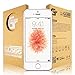 iPhone Tempered Glass Screen Protector (iPhone SE)