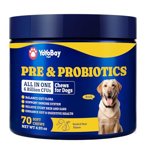 Image of Probiotics for Dogs - Dog Probiotics for Digestive Health, Yeast, Itchy Skin, Gut Health, Immune & Skin - 6 Billion CFUs, 70 Soft Chews, Duck & Pear Flavor - with Prebiotics & Digestive Enzymes