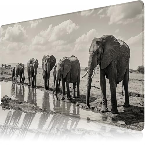 �f�X�N�}�b�g ���� 80*30cm *0.3cm �}�E�X�p�b�h XXL �L�[�{�[�h�p�b�h �ᖀ�C �K�x�ȕ\�ʖ��C ����~�� �h�� �f�X�N���[�N �T�����[�}�� PC �Q�[�}�[ e�X�|�[�c ���p [��/����] L-x1475