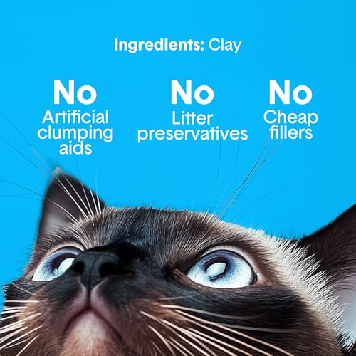 Boxie Premium Unscented Clumping Cat Litter 30 Day Odour Control 40 lb - Image 5