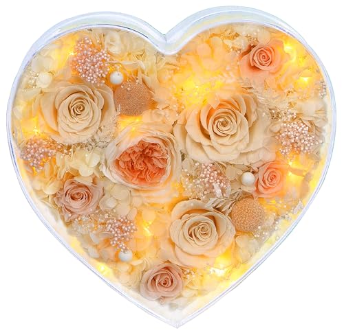 Valley of Rain & Forest Long-Lasting Real Flowers, "Sweet" Preserved Floral Gift With Lights For you to send Love for All Occasions, for Indoor Decoration (Champagne & Yellow Roses Arrangement)