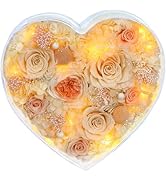 Valley of Rain &amp; Forest Long-Lasting Real Flowers, "Sweet" Preserved Floral Gift With Lights For ...