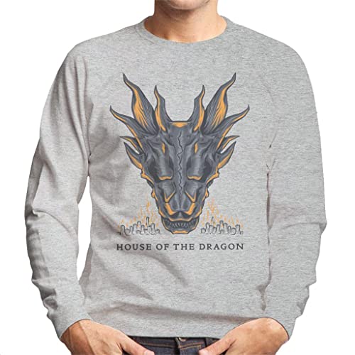 All+Every House of The Dragon Balerion The Black Dread Men's Sweatshirt