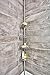iDesign Twigz Metal Wire Tension Rod Corner Shower Caddy, Adjustable 5'-9' Pole and Baskets for Shampoo, Conditioner, Soap with Hooks for Razors, Towels, Adjustable from 5'-9', Silver,77686