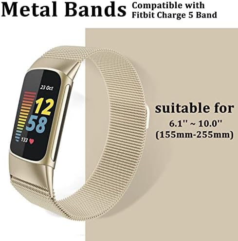 surundo Compatible with Fitbit Charge 6/Charge 5 Strap, Magnetic Clasp Stainless Steel mesh Loop Adjustable Metal Band Strap Replacement for Charge 6/Charge 5 Advanced Fitness & Health Tracker