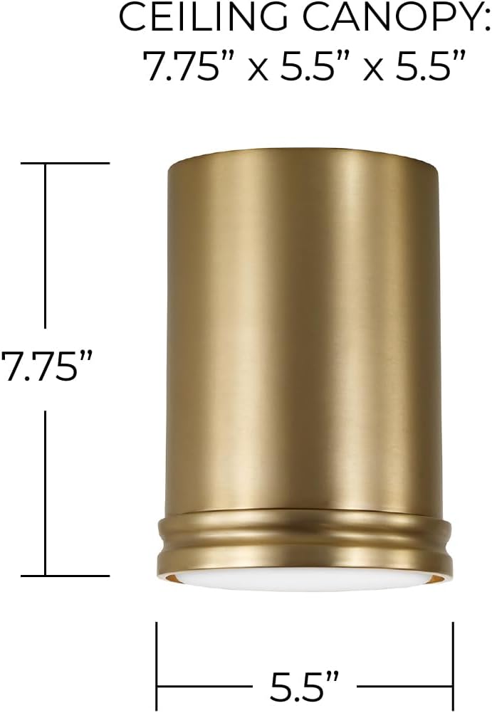 Capital Lighting 259411AD Griffin Modern Cylindrical Metal Flush Mount Ceiling Light, 1-Light 9 Watt, 8" H x 6" W, Aged Brass