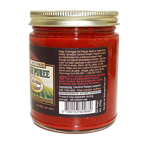 Pepper Mash Collection - Carolina Reaper + Yellow Scotch Bonnet + Ghost Pepper