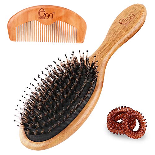 Best Boar Bristle Brush For Hair Loss 10Reviewz
