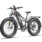 FREESKY Swift Horse Pro 2025 Electric Bike with 2000W BAFANG Motor, 48V 30Ah Battery, 26
