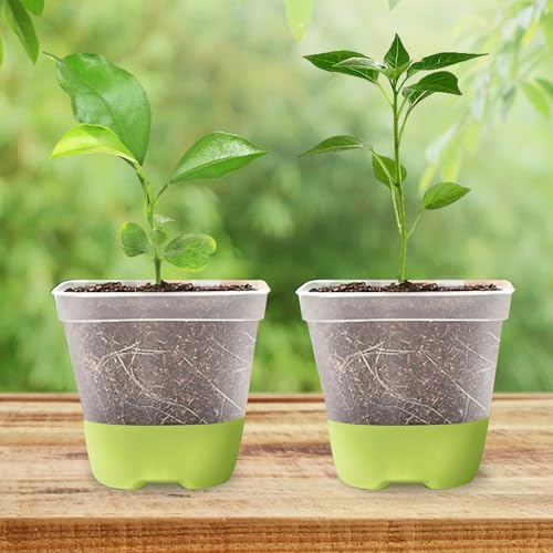 WANDGU 12 Stück Transparente Anzuchttöpfe mit Silikonboden: Wiederverwendbare ​​Blumentöpfe aus Kunststoff​​ und Pflanzenetiketten, ​​Anzuchttöpfe Eckig​​ mit Ablauflöchern für ​​Setzlinge, Gemüse