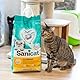 Sanicat – Klumpstreu ohne Duftstoffe | Hergestellt aus natürlichen Mineralien mit garantierter Geruchsbindung | Absorbiert die Feuchtigkeit und erleichtert die Reinigung | Packungsgröße 10 l