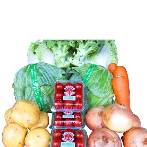 利左ヱ門ファーム 季節の野菜セット 2〜7種類 詰め合わせセット 国産 新鮮 おまかせ 泉州野菜 セット品