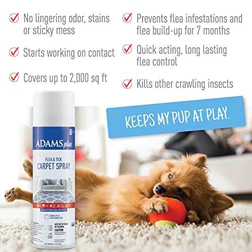 Adams Plus Carpet Spray + Flea & Tick Dog Collar #TOP1