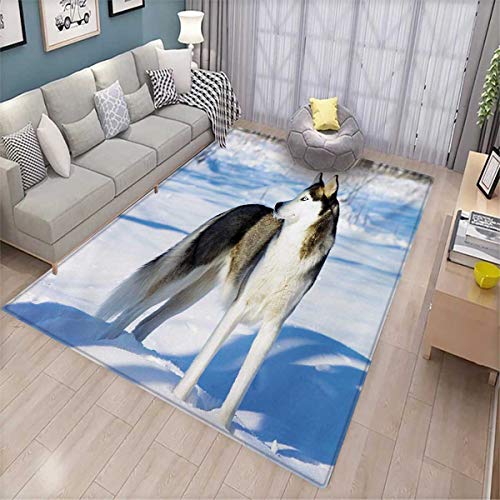 Alaskan Malamute Girls Rooms Kids Rooms Nursery Decor Mats Chukchi Husky Breed Dog on Snow Covered Rural Winter Landscape Door Mat Indoors 6'6" x9' Black White Pale Blue