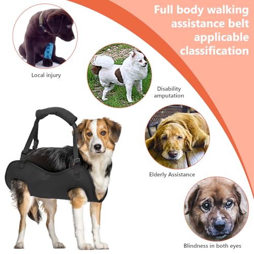 Hunde Tragehilfe, Tragbares Hundegeschirr, Verstellbare Hundehebegeschirr, Hundestützschlaufe, Hundetragegurt, Ganzkörperhebehilfe für Mittlere und Große Kranke Oder ältere Hunde (L)