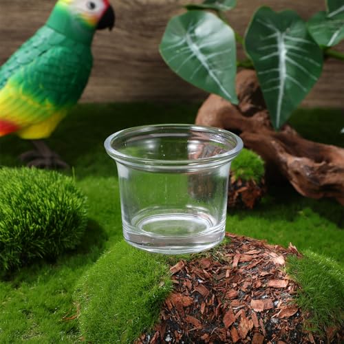 Evite plasticos rotos con vasos para comederos de aves de vidrio resistente KICHOUSE 7