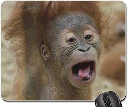 Amazon Co Jp マウスパッド 赤ちゃん オラウータン 猿 プリメイト 野生動物 オラウータン Computers