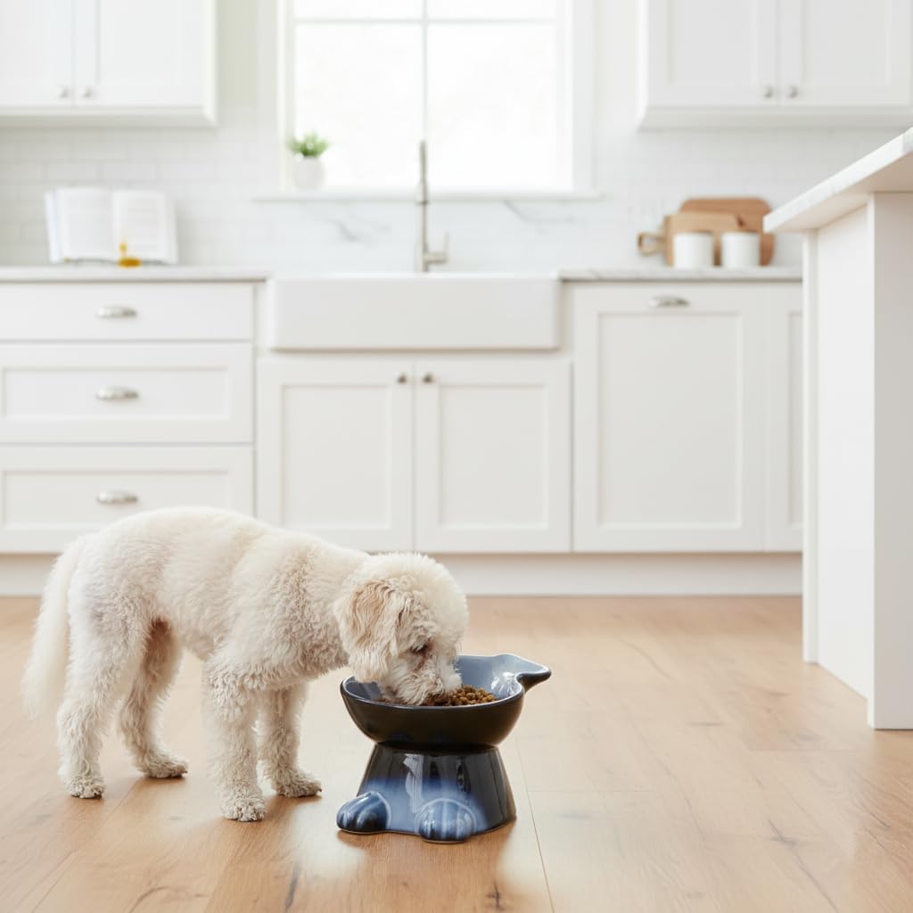 Nihow Elevated Ceramic Dog Bowl: 6.5 Inch Raised Small Dog Bowl for Food & Water - Food Safe, Protects Pet's Spine (1 PC)