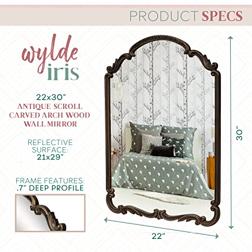 Wylde Iris 22X30 Inch Antique Scroll Carved Arch Wood Wall Mirror, Antique Black, Mirror For Entryway, Living Room, Bathroom #TOP2