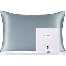 ZIMASILK 100% Pure Mulberry Silk Pillowcase for Hair and Skin,with Hidden Zipper,Both Side 19 Momme Silk,600 Thread Count, 1pc (Standard 20''x26'', Dusty Blue)