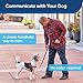 PetSafe Collarless Remote Trainer - Handheld Ultrasonic & Tone Dog Training - Correct Behavior such as Barking, Digging, Jumping - Similar to an Electronic Dog Whistle, No Collar Required