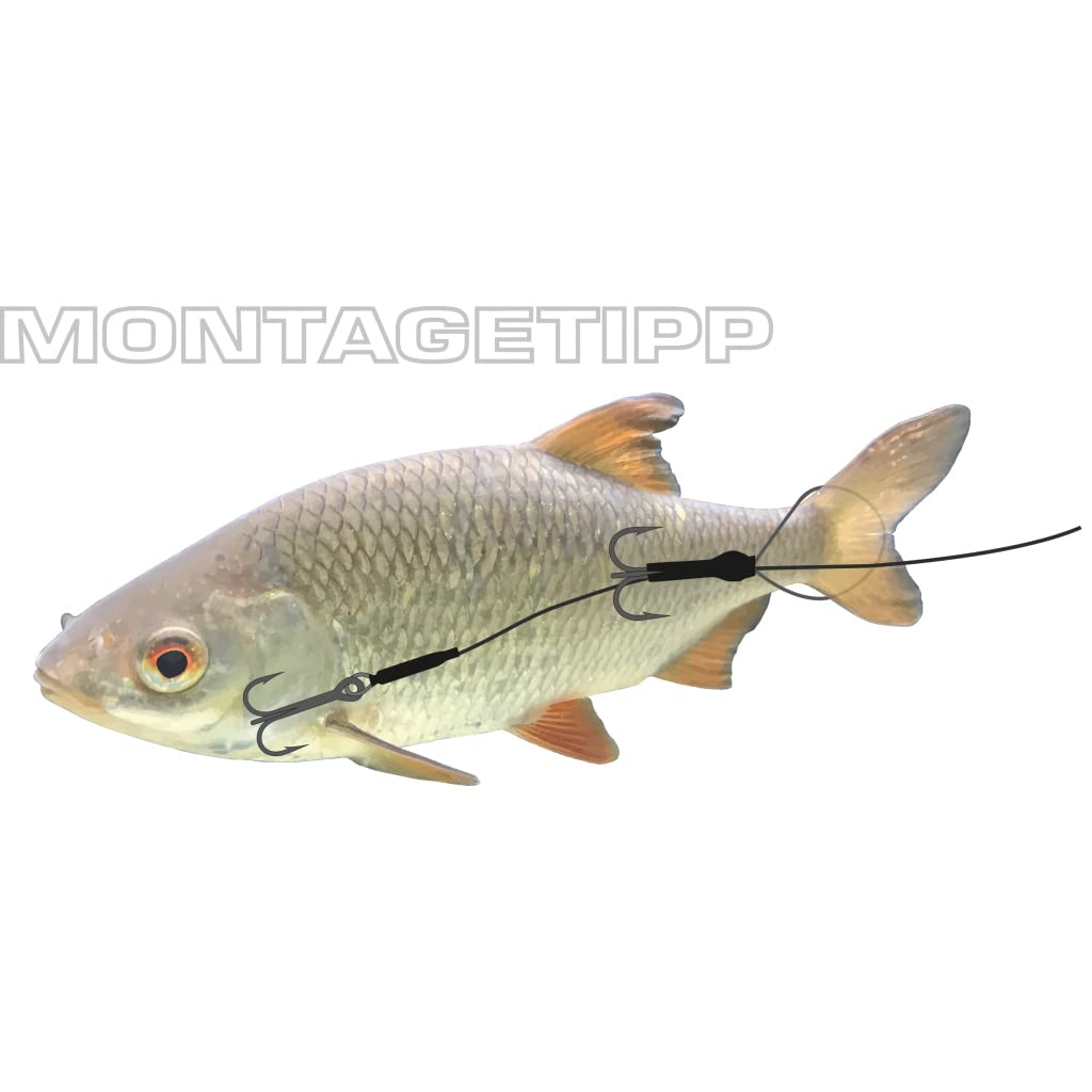 STMK Dead Bait Kit von Jenzi Set, Long Cast Rig, Ledger Boom, Pop Up Set + gratis Angelschere